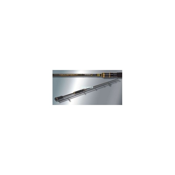 CAÑA SPORTEX GOODSPEED SPIN 240 29-72 G