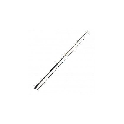 CAÑA TUBERTINI LABRAX SPIN 20-80 GR.