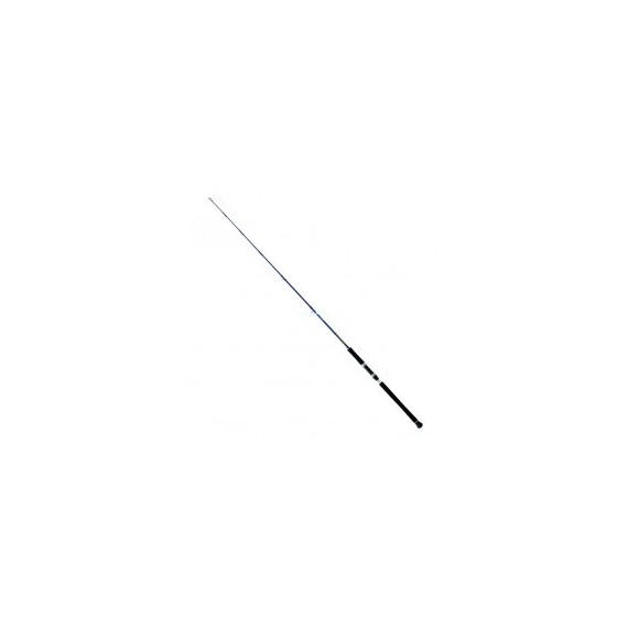 CAÑA DAIWA EXCELER OCEANO 581HS 100-300