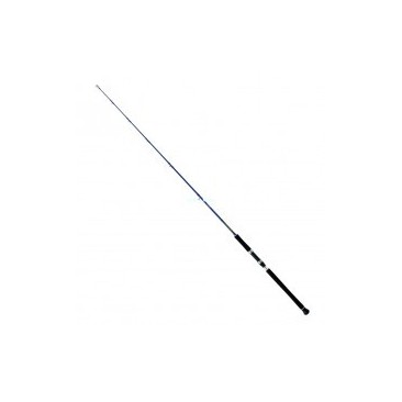 CAÑA DAIWA EXCELER OCEANO 581HS 100-300