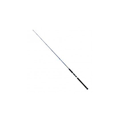 CAÑA DAIWA EXCELER OCEANO 581HS 100-300