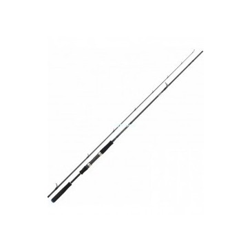 CAÑA DAIWA SALTIST AGS II 902 HFS 14-42