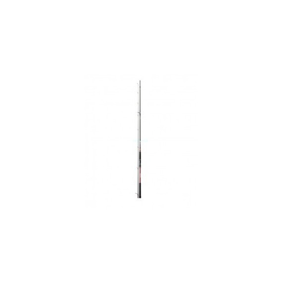 CAÑA DAIWA TOURNAMENT SW AGS 902 HFS