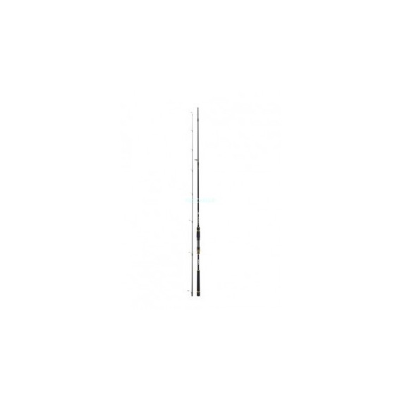 CAÑA DAIWA BG SEA BASS 802 HFS 14-42 GR
