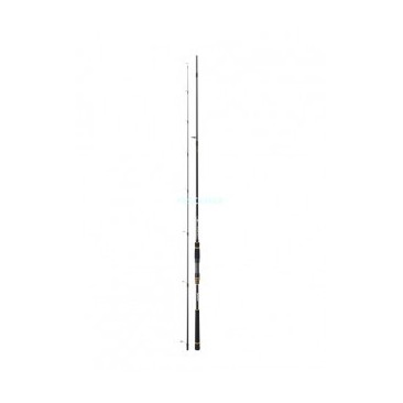 CAÑA DAIWA BG SEA BASS 1002 HFS 14-56 G