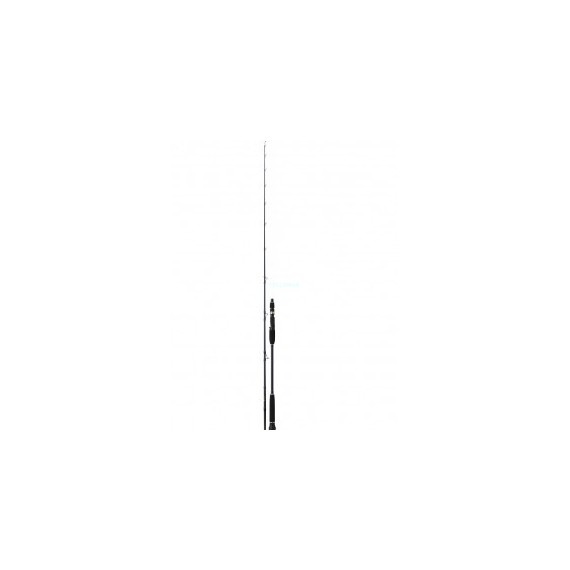 CAÑA DAIWA EXCELER OCEANO 632 MH 60-120