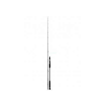 CAÑA DAIWA EXCELER OCEANO 632 MH 60-120