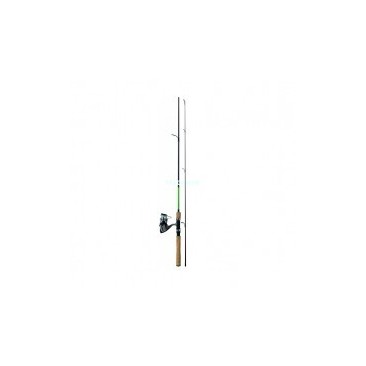 COMBO SPINNING DAIWA SA240MHAF + DF2500A