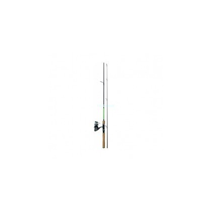 COMBO SPINNING DAIWA SA240MHAF + DF2500A