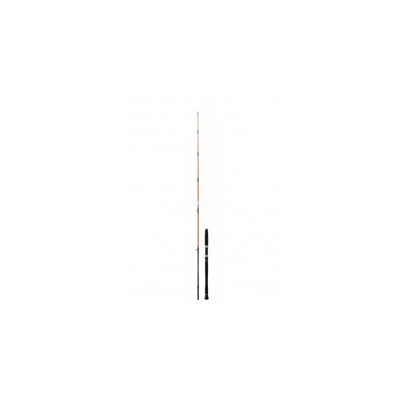 CAÑA DAIWA MEGAFORCE BJ 220 MHS 60-180G