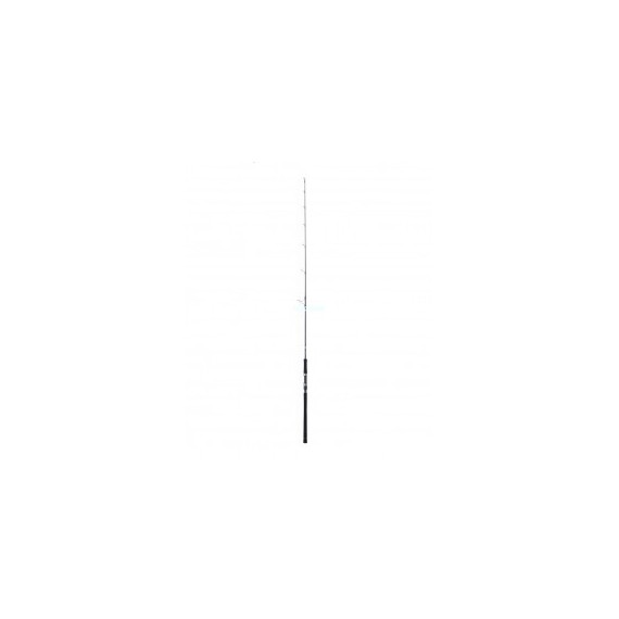 CAÑA DAIWA CATALINA JG 62MS 70-180 GR