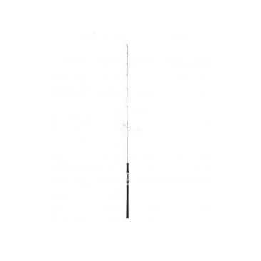 CAÑA DAIWA CATALINA JG 62MS 70-180 GR