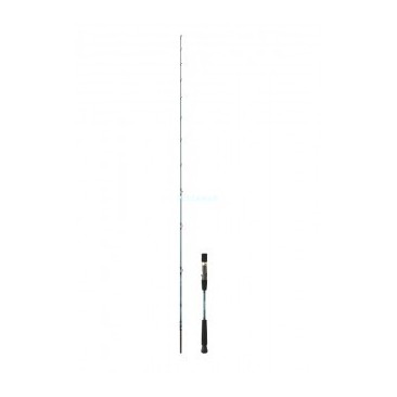CAÑA DAIWA GRANDWAVE SJ 66 HB MAX.180 G
