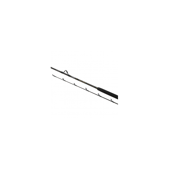 CAÑA SHIMANO BEASTMASTER AX BTS 20-30L