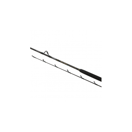 CAÑA SHIMANO BEASTMASTER AX BTS 20-30L