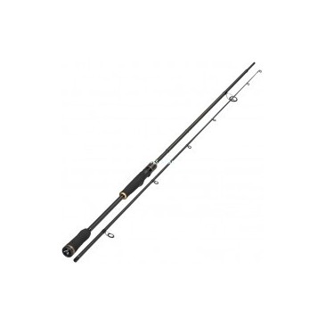 CAÑA SPORTEX GOODSPEED SPIN 240 19-49 G