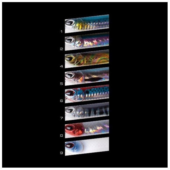 PEZ CINNETIC MINI ZIG WALKER 75 F 7 GR.