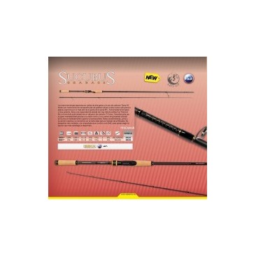 CAÑA SEIKA SF+ SUCUBUS EVA 10-42 GR.