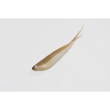 VINILO ZOOM TINY FLUKE 3"