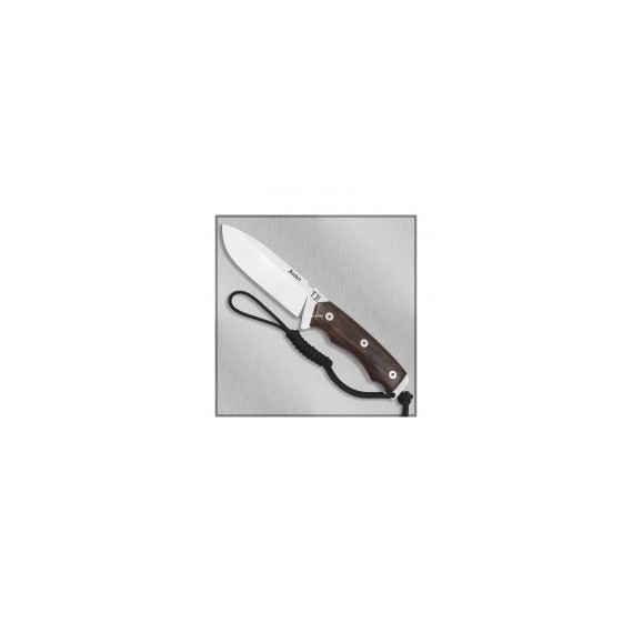 CUCHILLO  NIETO 1091-C SUPERVIVENCIA