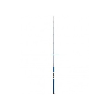 CAÑA DAIWA LEGALIS OCEANO 581 HS 90-210
