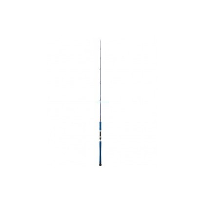 CAÑA DAIWA LEGALIS OCEANO 581XHS 100-30