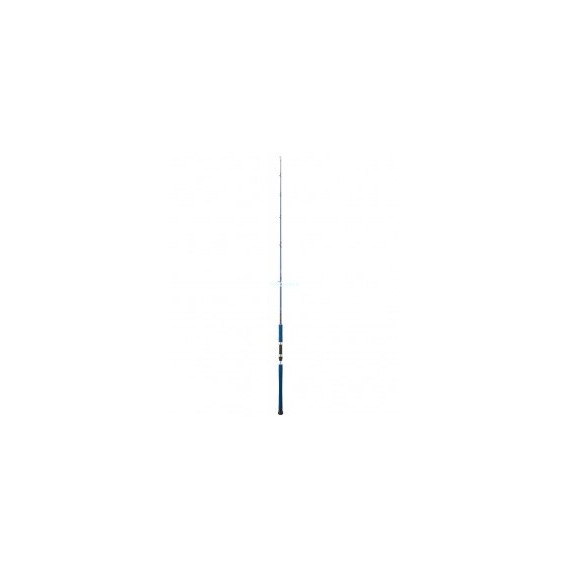 CAÑA DAIWA LEGALIS OCEANO 581XHS 100-30