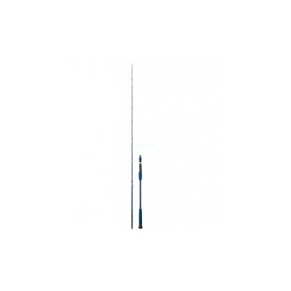CAÑA DAIWA LEGALIS OCEANO 662 XHB 250 G