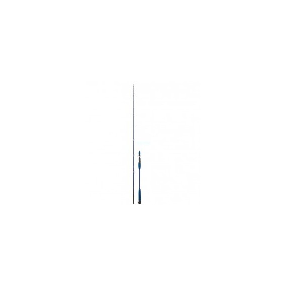 CAÑA DAIWA LEGALIS OCEANO 662 XHB 250 G