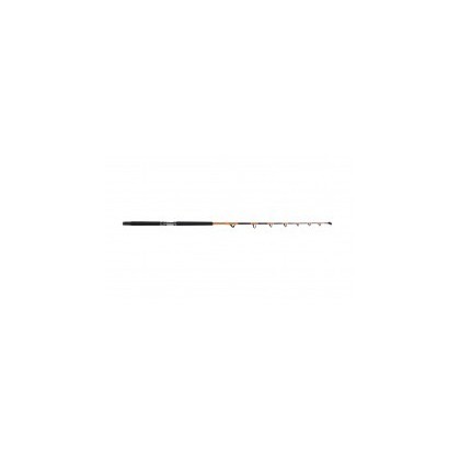 CAÑA TUBERTINI SPARK 2 20-30 LB