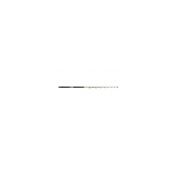CAÑA TUBERTINI SPARK 2 20-30 LB