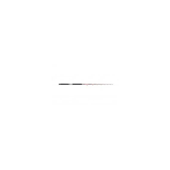 CAÑA TUBERTINI SPARK 3 20-30 LB