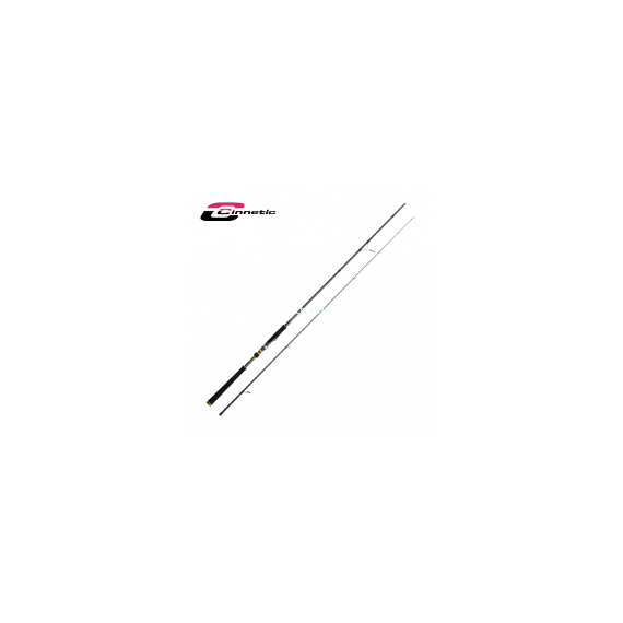 CAÑA CINNETIC RAYCAST XBR SEA BASS 3 MT