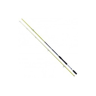 CAÑA RENZO VALDIERI MAGAZZARI 20-55 G