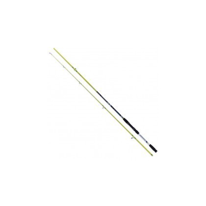 CAÑA RENZO VALDIERI MAGAZZARI 20-55 G