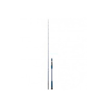 CAÑA DAIWA LEGALIS OCEANO 662 XHB 250 G