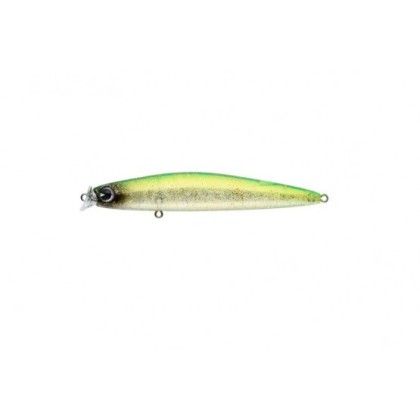 PEZ IMA KOSUKE 110 F 17 GR