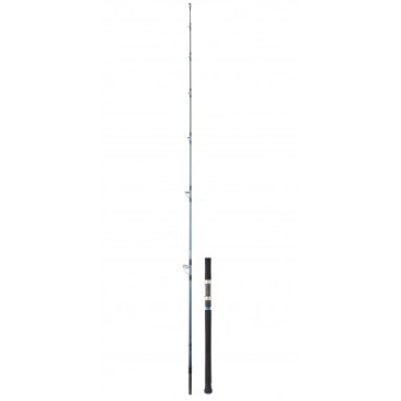 CAÑA DAIWA GRANDWAVE 77 XH 70-150 GR