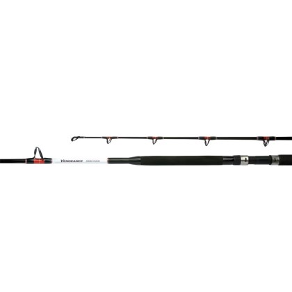 CAÑA SHIMANO VENGEANCE STANDUP 8-16 LB